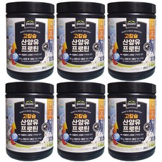 [KT알파쇼핑][팔레오]고칼슘 산양유 프로틴 6통 박군프로틴 박군단백질, 280g, 6개