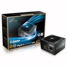 FSP HYDRO GSM PRO 750W 80PLUS Gold Modular, 1박스