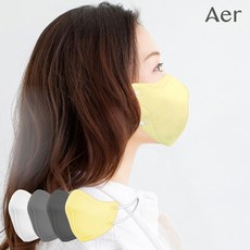 아에르어드밴스드v