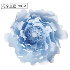 시그니엘프로포즈