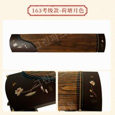 가야금전문가용