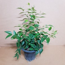 18a6555dd8d0daf6b7e1adc7858f3288c543130a6215e7417157982d9fa3.jpg