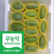 산지직송 국내산 친환경 포포 나무 열매 생과, 1박스, 1kg(상품4~5과)