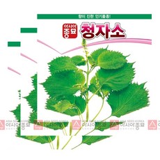 아시아종묘 자소씨앗종자 청자소-아오시소(3gx3), 3개