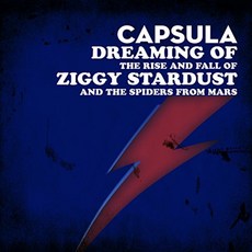 Ziggy Stardust의 흥망 성쇠와 화성에서 온 거미 [Vinilo], 단일옵션
