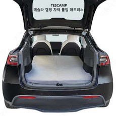 테슬라모델y리스