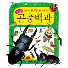 곤충백과