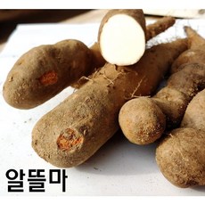 파지장마5kg