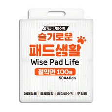 슬기로운 패드 절약형 100매, 단품