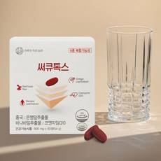 포뉴코엔자임q10 TOP01