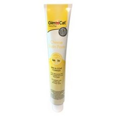 짐캣 고양이 피모 영양제 치즈 페이스트 100g, 1개