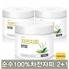차전자피 가루 분말 베이킹 개증정 계량스푼 질경이씨앗 차전차피 식이섬유 효능 리뷰후기