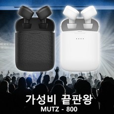 아이폰무선이어폰