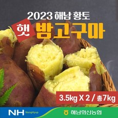 해산화남농협 2023 해남 화산농협 밤고구마 7kg, 단일옵션