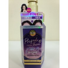 엘라스틴프로폴리테라