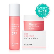 브릴리언트블랑누드크림