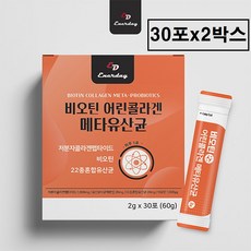 메타포트프로2