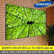 삼성사이니지75