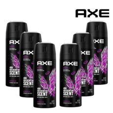 AXE 악스 데오드란트 익사이트 스프레이 150ml 6개
