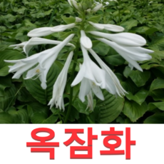 7ea22185fc00cde6ea64241cd885af622177649b6cc4f523f75efdfc413f.png
