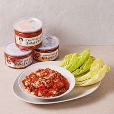 셰프애찬 탱글탱글 통영 생굴 무침 600g, 없음