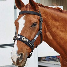 Kincade Web Lunge Cavesson Cob Black 킨케이드 웹 런지 케이브 슨 코브 블랙, 1