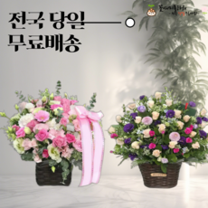 전국꽃배달 꽃바구니 당일배송 축하꽃다발+메시지리본 생화 기념일 임신축하 여자친구선물 프로포즈, 1번