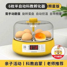 조류 자동 부화기 유정란 앵무새 디지털 교구 알부화기, 5. 6알 반자동(입문형), 1개