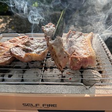 친환경 숯불 화로 그릴 화로대 일회용 바베큐 캠핑 야외 꼬치 낚시 솔캠 차박, 바베큐붓 증정, 1개