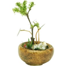 THE BONSAI 丸 体 【차】, 1개, 1개입