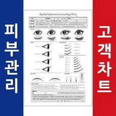 두꺼운 바인더형 고객차트 A4 100매 속눈썹샵 처음방문자용, 타공없음100매