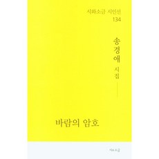 바람의 암호:송경애 시집, 송경애 저, 시와소금