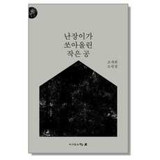 난장이가 쏘아올린 작은 공 난쏘공 조세희, 1개