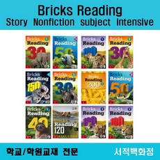 브릭스리딩단계