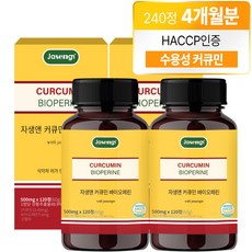 자생 커큐민 앤 바이오페린, 120정, 2개 120정, 2개