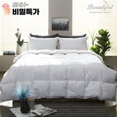 구스이불ss