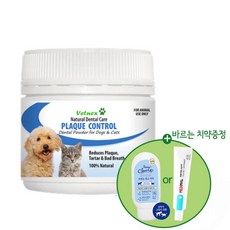 벳넥스