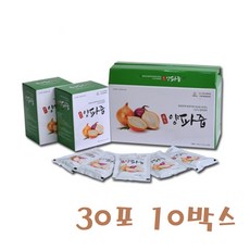 양파발효액