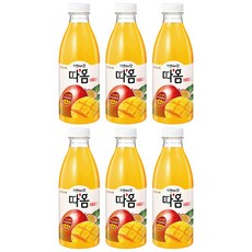 망고복숭아