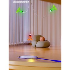 혼자하는배드민턴 TOP01