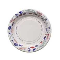 삼풍 종이접시 26cm(대)120매 친환경 일회용 코스트코, 5세트, 120개
