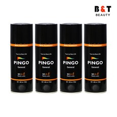 노루페인트 핑고 컬러리폼 스프레이 블랙 200ml x4, 4개
