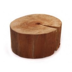 절단유목 10개 랜덤(대/6cm) / 수초꾸미기 수초디스플레이 자연유목 잔뿌리, 1팩