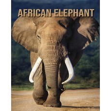 African Elephant: Children's Books --- Beautiful Pictures & Interesting Facts Children Book About Af... Paperback, Independently Published