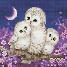 Hearts price 디클레어 액자형 DIY 보석십자수 구슬 비즈 큐빅 캔버스형, 1개, DCD002 부엉이 가족 40X50