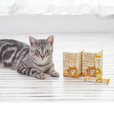 고양이유산균캣바이오