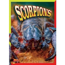 Scorpions Paperback, Black Rabbit Books, English, 9781644660232