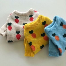 코바늘강아지옷