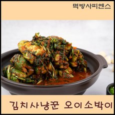 먹방사피엔스 김치에 목숨거는 김치사냥꾼 국내산 오이소박이, 1개, 2kg