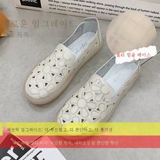 에르코앤간호화